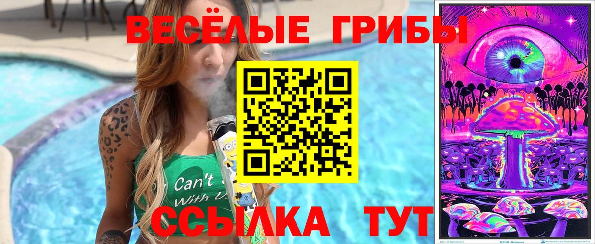 Псилоцибиновые грибы GOLDEN TEACHER  Вход с VPN  Псилоцибиновые грибы ЛСД  Трёхгорный 