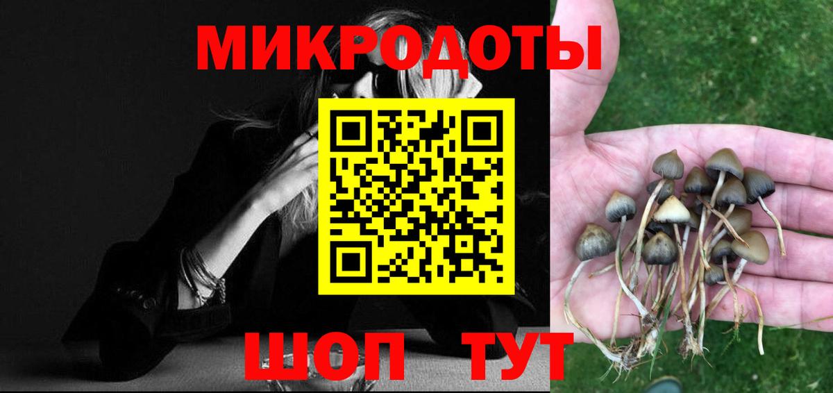 Псилоцибиновые грибы мицелий Трёхгорный